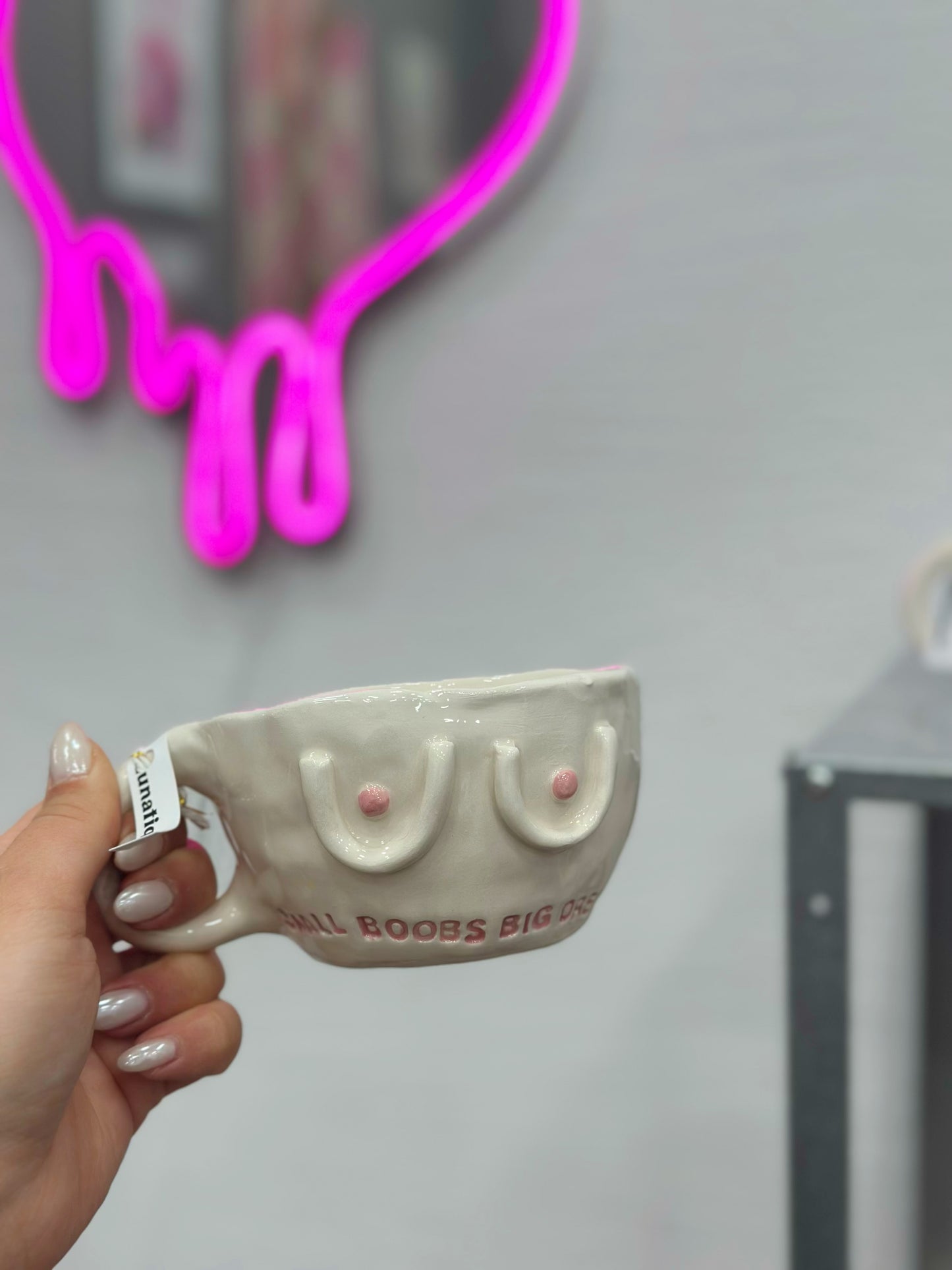 Small boobs big dreams mug