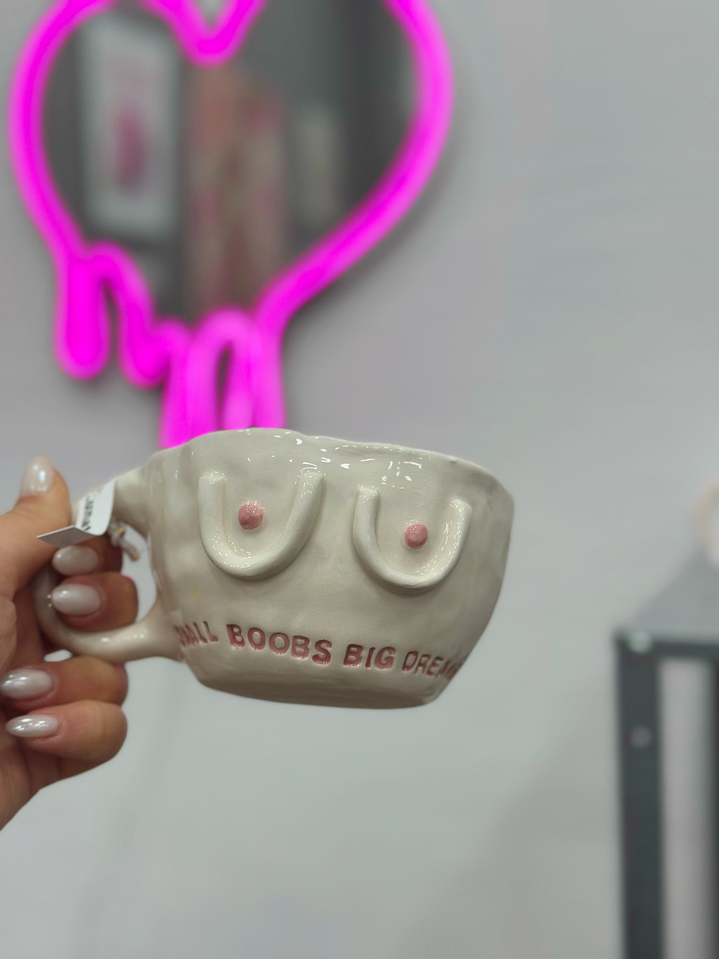 Small boobs big dreams mug
