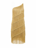 Shimmery fringed dress