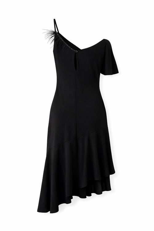 Asymmetrical dress with feathers