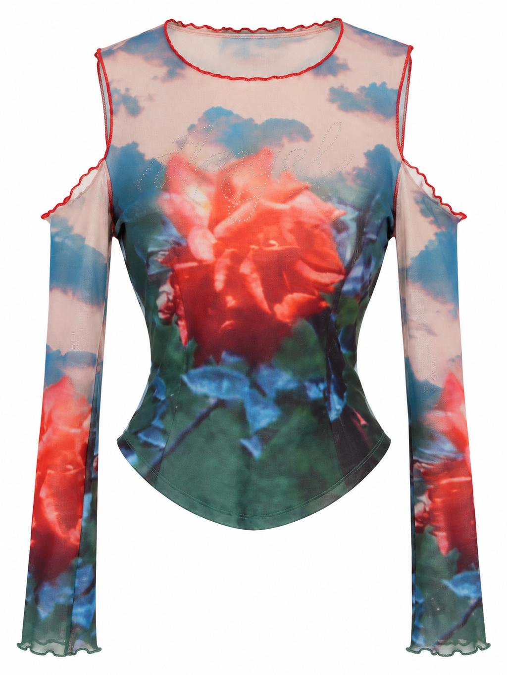 Off shoulder mesh printed top