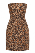Leopard corset mini dress